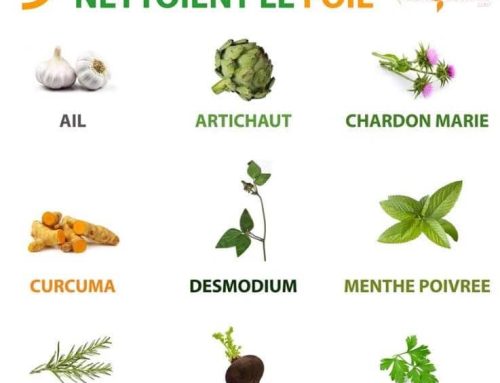 9 plantes qui nettoient le foie !